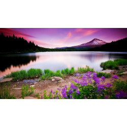 蘆洲專業按摩首選|全方位呵護每一種需求 蘆洲專業按摩首選|全方位呵護每一種需求