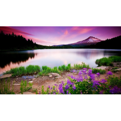 蘆洲專業按摩首選|全方位呵護每一種需求 蘆洲專業按摩首選|全方位呵護每一種需求